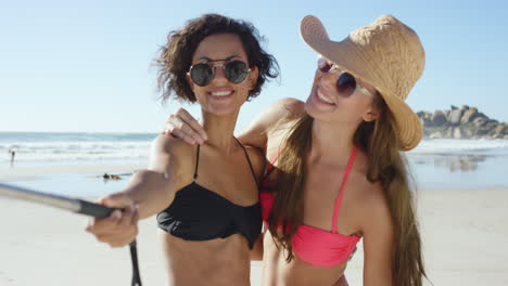 dos amigos tomando selfies en la playa usando un palo de selfie
