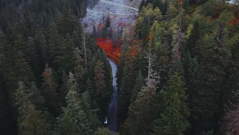 Estado-De-Washington---Antena-De-Drones-Mirando-Hacia-Abajo-En-Una-Carretera-Que-Atraviesa-Un-Bosque-De-Pinos-En-Otoño,-Con-Un-Solo-Automóvil-Estacionado,-Con-Colores-Rojos-De-Otoño,-Cerca-De-Franklin-Falls-Y-Snowqualmie