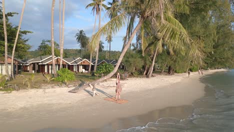 Chica-De-Yoga-Está-Sola-Bajo-Una-Palmera