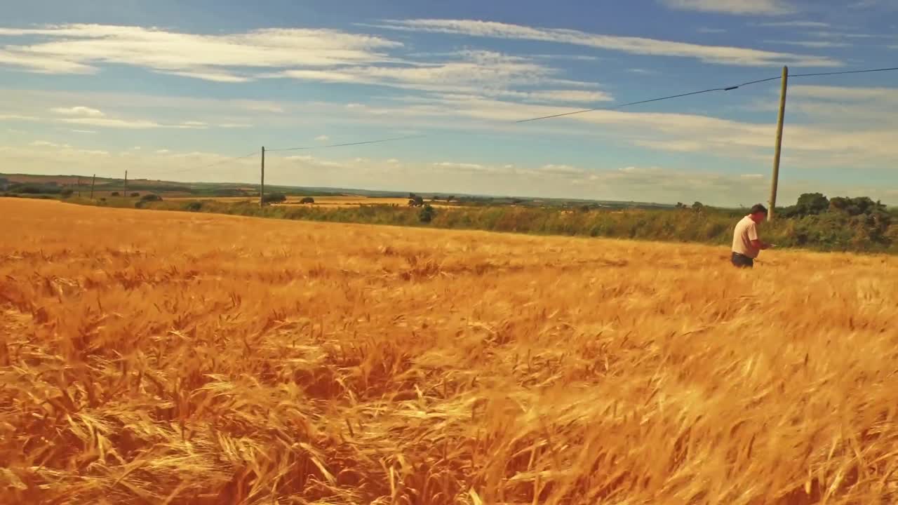 Aerial view of farmer walking through his fields