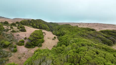 Volando-Bajo-Sobre-Magníficas-Tierras-Verdes,-Naturaleza-Virgen,-San-Francisco