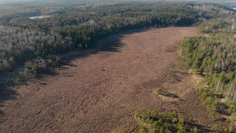 elevándose sobre el paisaje de laponia cubierto de bosques y humedales