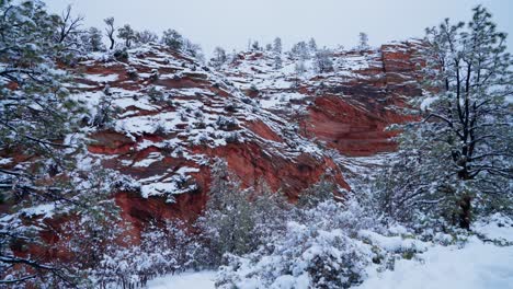 A-wide-shot-of-a-fresh-snow-fall-slowly-melting-off-the-tree-branches-of-the-evergreens-in-Zion-National-park-with-the-red-rock-mountains-behind-it