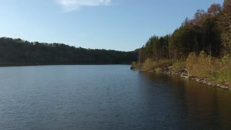 Dolly-Forward-near-Lake-Shore-past-a-large-Branch