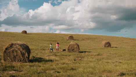 un niño en camiseta verde corre delante en un campo abierto de hierba mientras su hermana en rosa lo sigue, sosteniendo un perro en una correa, el campo rodante, las balas de heno esparcidas y un cielo azul brillante con nubes