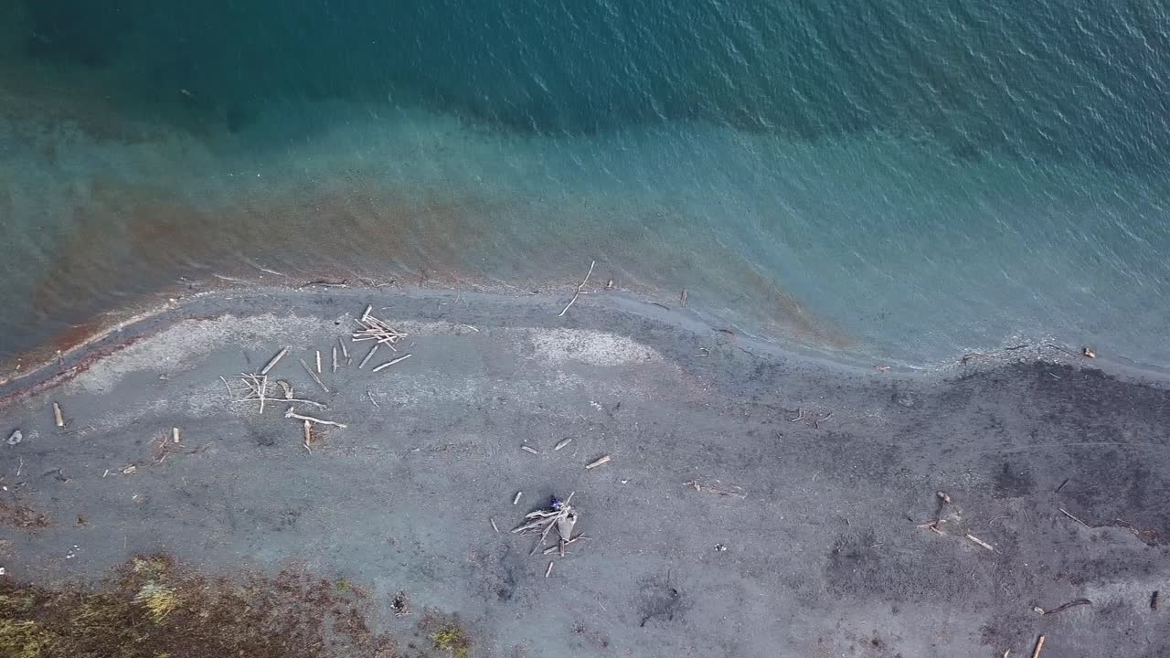 volando a lo largo de la orilla gris vacía del lago hacia el bosque otoñal en el borde del lago