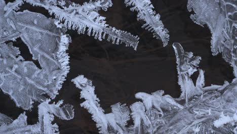 misty, frozen lake with reflections of frosted trees still winter morning at lake pfaffikersee, frozen ice sheets float below surface, natural fractal pattern