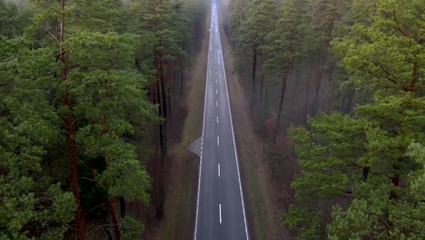 aerial shot of an empty long straight misty road in the middle of a forest flying backward