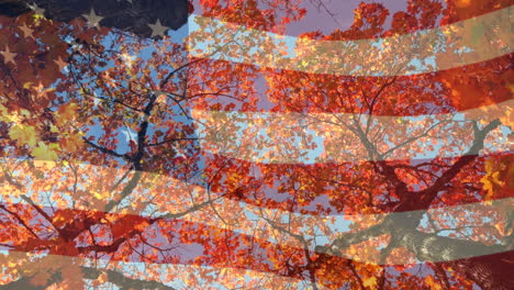 animation of trees and leaves over flag of usa