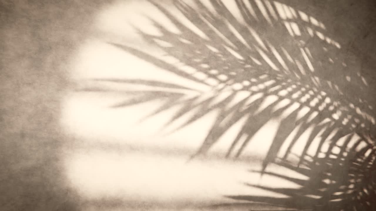 Moving Palm Leaf Shadow on a Textured Vintage Wall