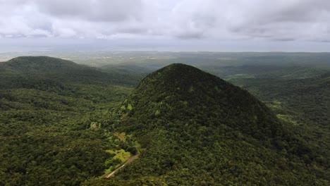 drone video sequence on the forest of guadeloupe, with a road