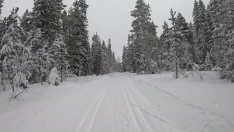 Zeitraffer-Spaziergang-Durch-Den-Verschneiten-Winterwald