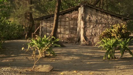 Coconut-palm-leaf-beach-hut-surrounded-by-greenery