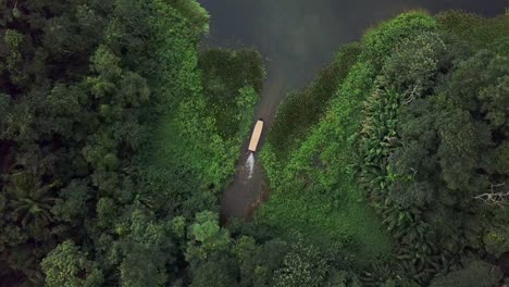 Barco-De-Safari-En-La-Jungla-En-Las-Selvas-Tropicales-En-El-Lago-Gatún,-Panamá