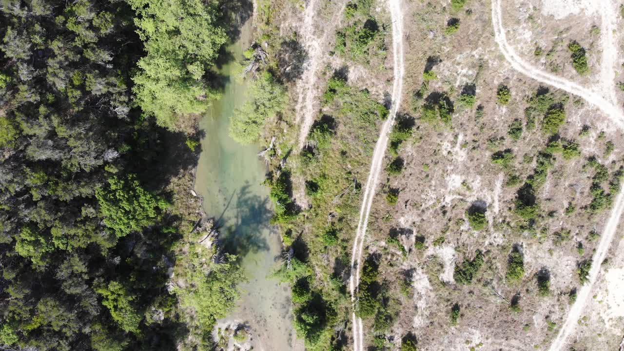 vista de arriba hacia abajo del río que queda envuelto por cipreses