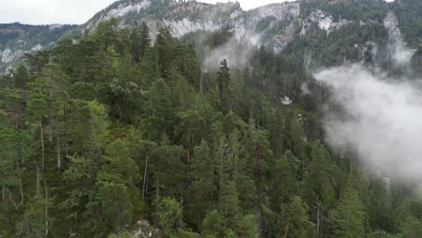 Light-rain-Wooded-Hillside-in-Bavaria-Germany-Drone-Aerial-view