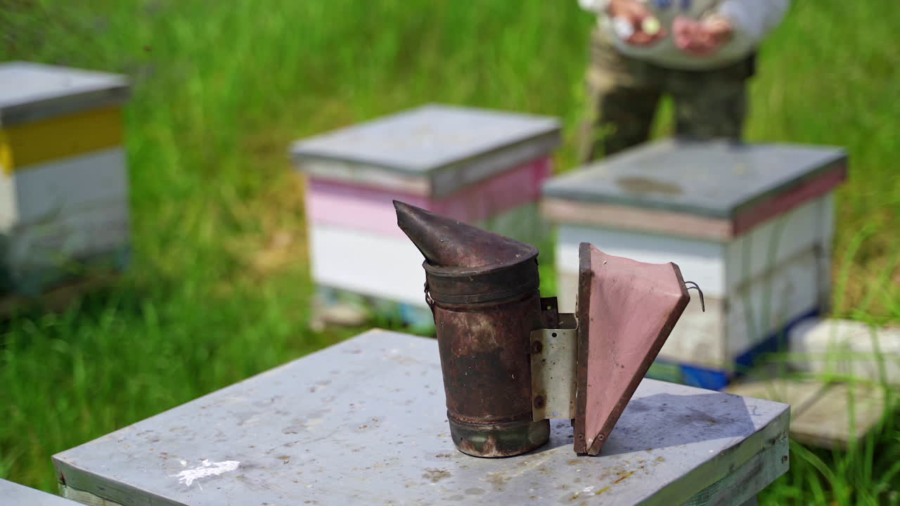 Beekeeping tool on apiary. Black smoker on a beehive. Beekeeper works at the apiary. Bee chimney stands on a hive. Close-up.