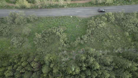 drone following a car through the forest side