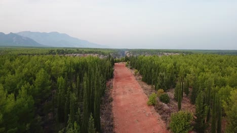 Camino-Forestal-Montaña-árboles-Verdes