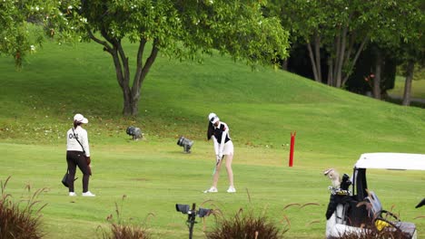 golfer executing a swing on a sunny day.