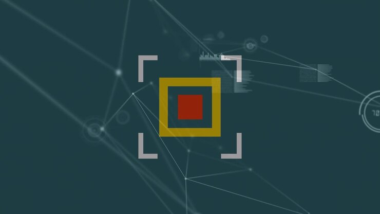 Animazione di rete di connessioni con equazioni ed elaborazione dati