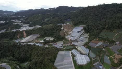 general landscape view of the brinchang district within the cameron highlands area of malaysia