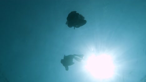 freedivers in business suits swimming down from the surface towards the camera