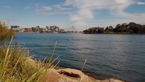 peaceful video from a park in australia with dancing grass, calm ocean water, unique bridge, city buildings, and trees