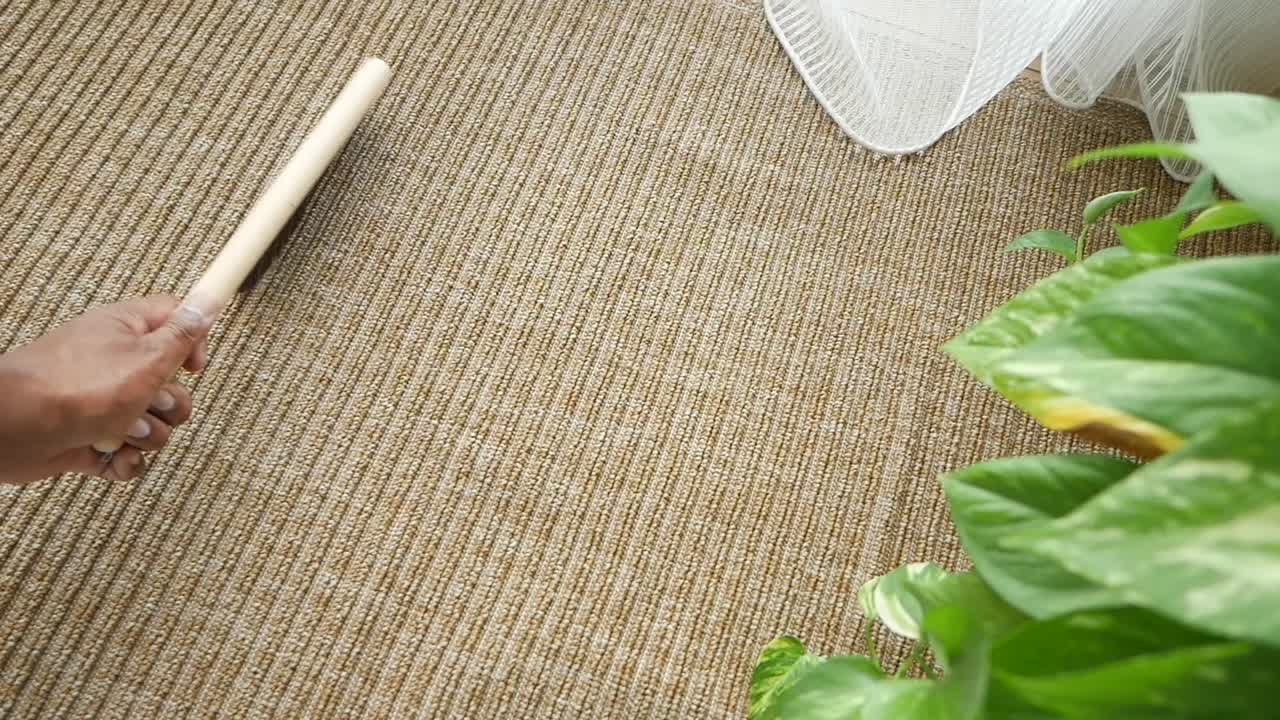 limpieza de alfombras