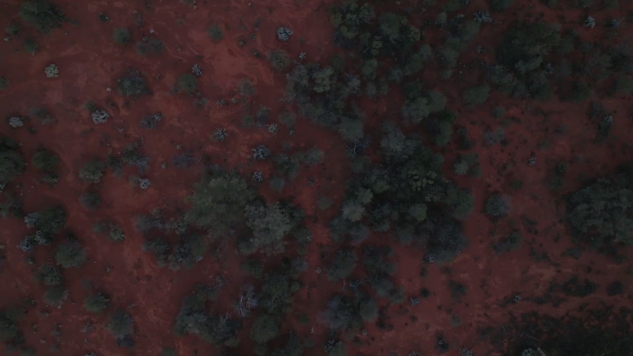 fotografía aérea de un dron que muestra el hábitat único del interior de australia y la tierra roja rica en hierro