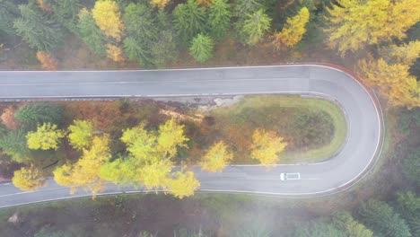 Vista-Aérea-De-Drones-De-La-Curva-De-La-Carretera-En-Otoño:-Follaje-De-Otoño-Sobre-La-Cabeza-Con-Autos-Que-Viajan-Alrededor-De-La-Curva---Italia,-4k