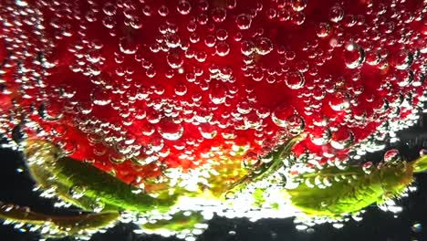 fresh, ripe strawberry in soda water or a clear carbonated drink with the bubbles fizzing all around it - macro view