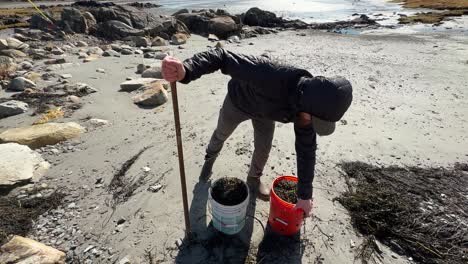 Beach-worker-filling-buckets-with-seaweed-for-garden-Slow-Motion