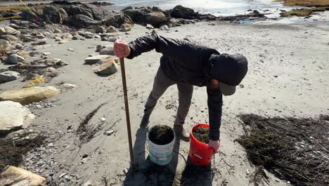 trabajador de la playa llenando cubos con algas marinas para el jardín de cámara lenta