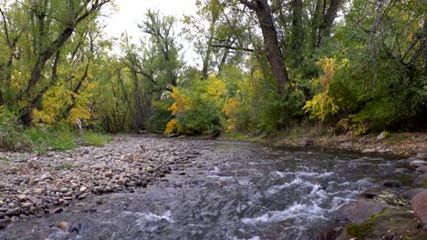 Fall-colors-along-the-Boulder-Creek