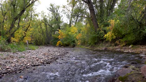 colores de otoño a lo largo del arroyo boulder