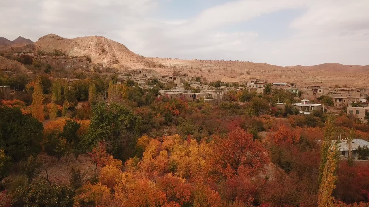 노란색, 주황색, 녹색 잎과 다채로운 나무가 있는 산의 가을 시골 마을과 사프란 들판 농장 옆 산기슭과 산기슭에 있는 계단 모양의 건물