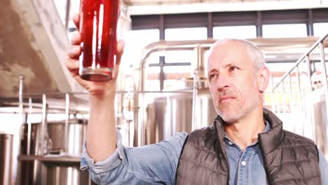 brewery worker checking the product