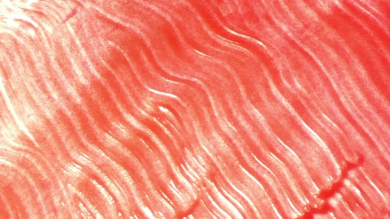 추상적인 브러시스트로크 간단한 루프 가능한 배경 빛 이동