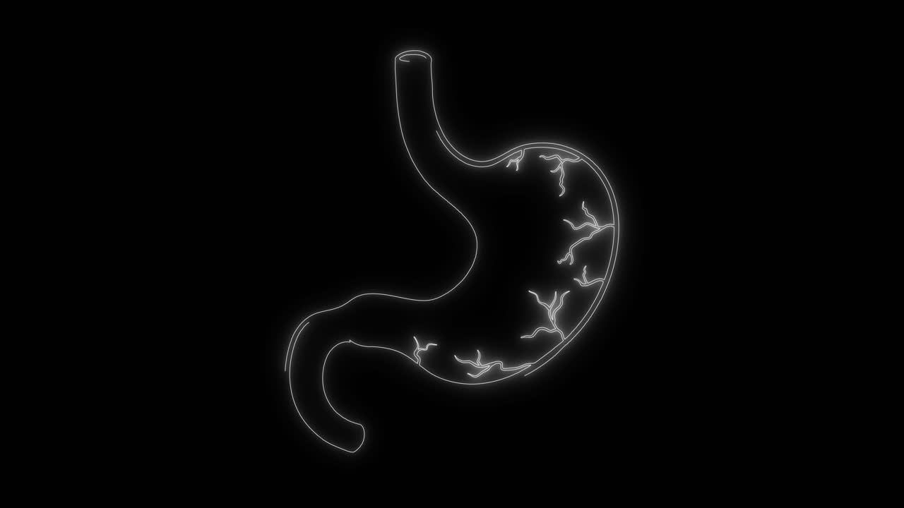 Contorno animato dello stomaco umano su sfondo nero