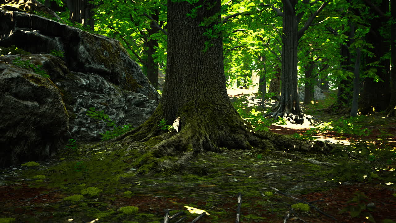 vista detallada de cerca de una textura de suelo forestal con musgo