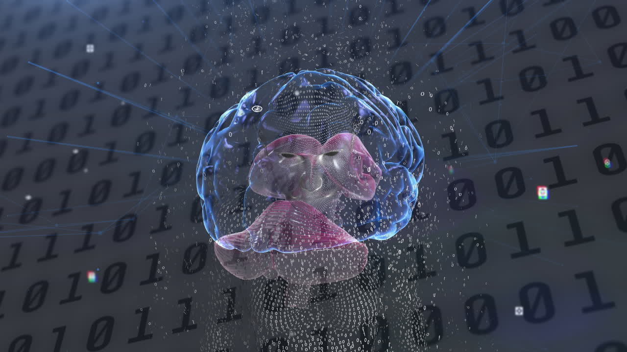 modelo de cuerpo humano masculino y cerebro humano contra el procesamiento de datos de codificación binaria en fondo gris