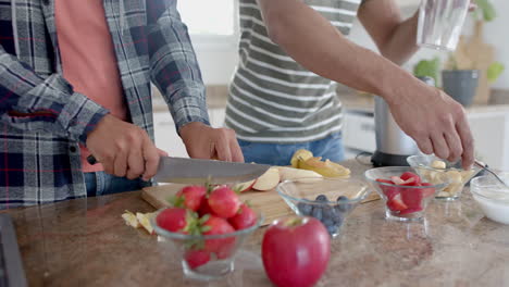 midsection of diverse gay male couple preparing healthy fruit smoothie in kitchen, slow motion