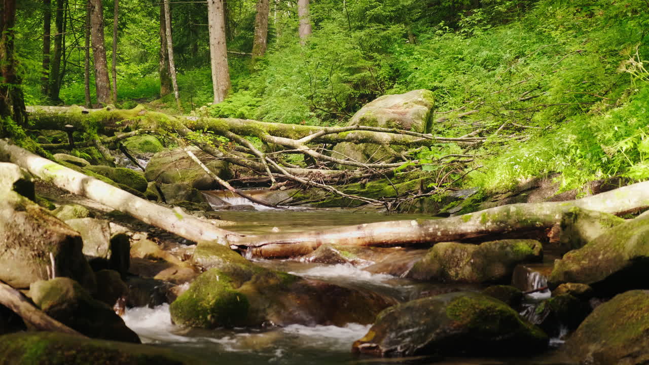 турист с рюкзаком переходит горную реку через поваленное дерево 4k видео