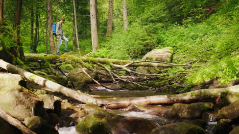 Ein-Tourist-Mit-Rucksack-überquert-Den-Bergfluss-Durch-Einen-Umgestürzten-Baum-4k-Video