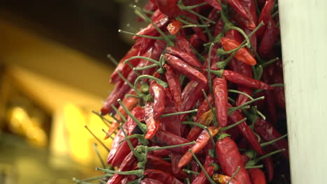 red peppers on the market selling home grown