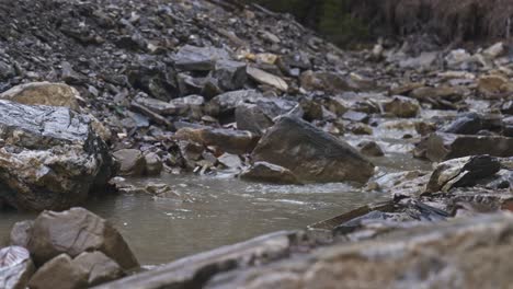 rural scene of water flowing smoothly between stones, padure, latvia