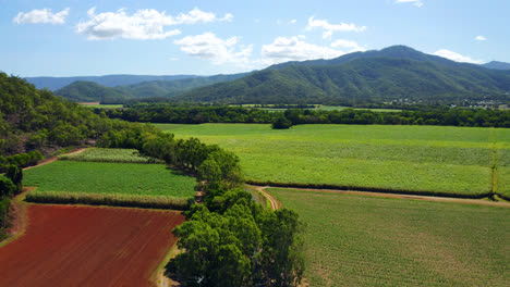 vuelo sobre campos agrícolas con pintorescas montañas de fondo en cairns, queensland, australia - disparo de drones