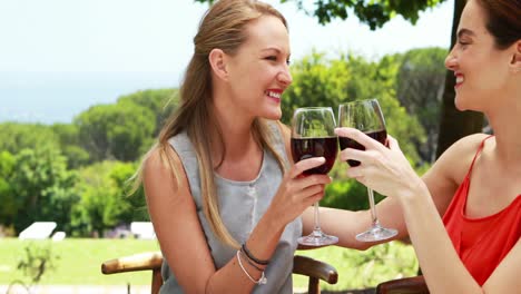 Female-friends-toasting-glasses-of-red-wine-4k