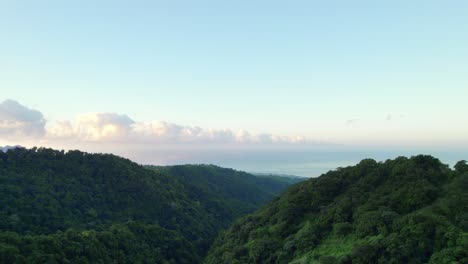 Tropical-forest-and-mountains-of-Guadeloupe-Caribbean-island